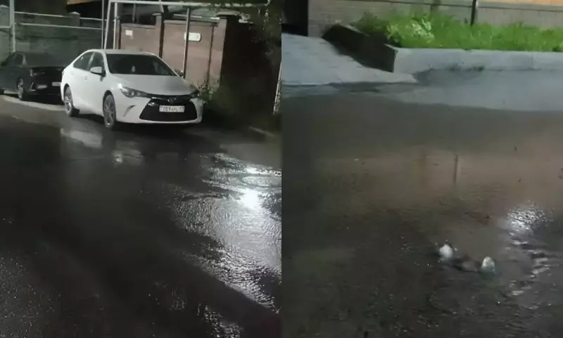 Неделями уходит впустую: в Алматы вода затопила целую улицу