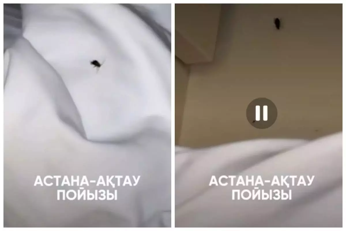 «Тарақандар жүр»: жолаушылар Маңғыстау – Семей пойызына шағымданды
