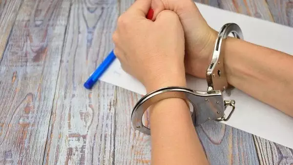 Әлеуметтік желідегі саудадан түрмеге: Сотталған әйел рақымшылықтан айырылды