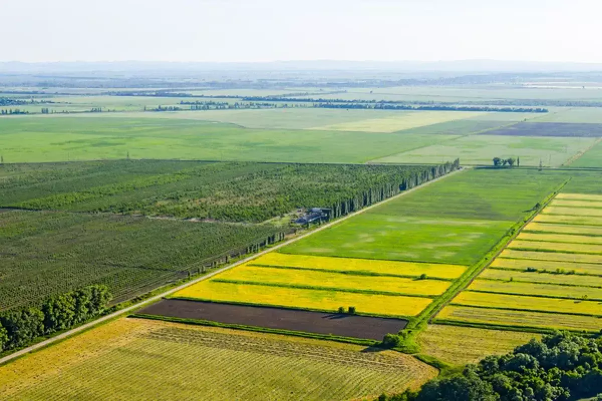 Майлы дақылдар көп, бидай аз: Қазақстанның барлық өңірінде егіс науқаны аяқталды