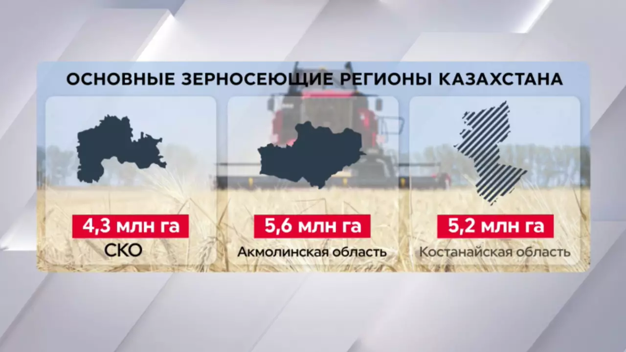 От пшеницы к новым культурам: итоги посевной-2026