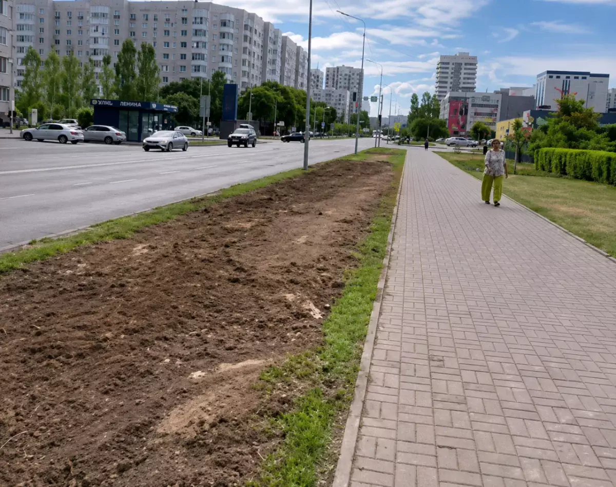 В центре Астаны исчезла целая аллея деревьев