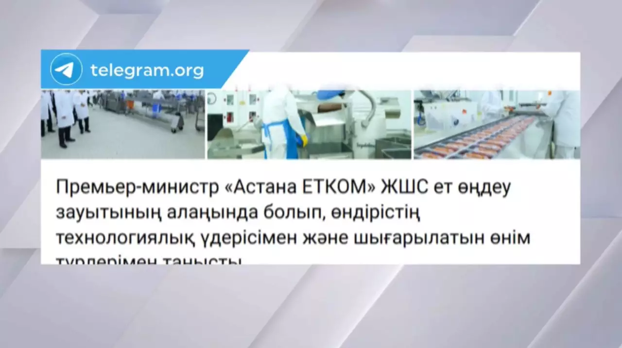 Премьер-министр елордадағы ет өңдеу зауытының жұмысымен танысты