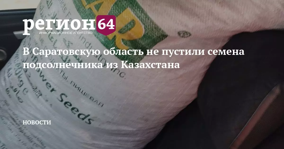 В Саратовскую область запретили ввоз семян подсолнечника из Казахстана.