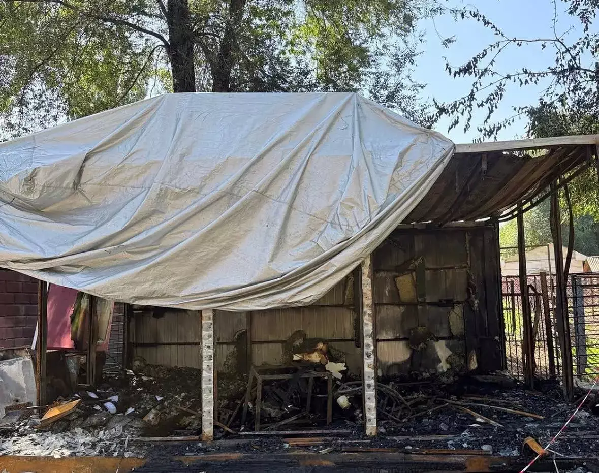 Алматы хайуанаттар бағында өрт болды: жануарлар зардап шеккен жоқ