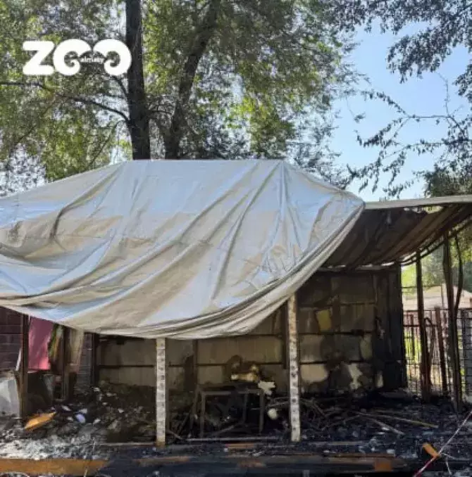 Ночной пожар вспыхнул в зоопарке Казахстана, повредив туристические электромобили.