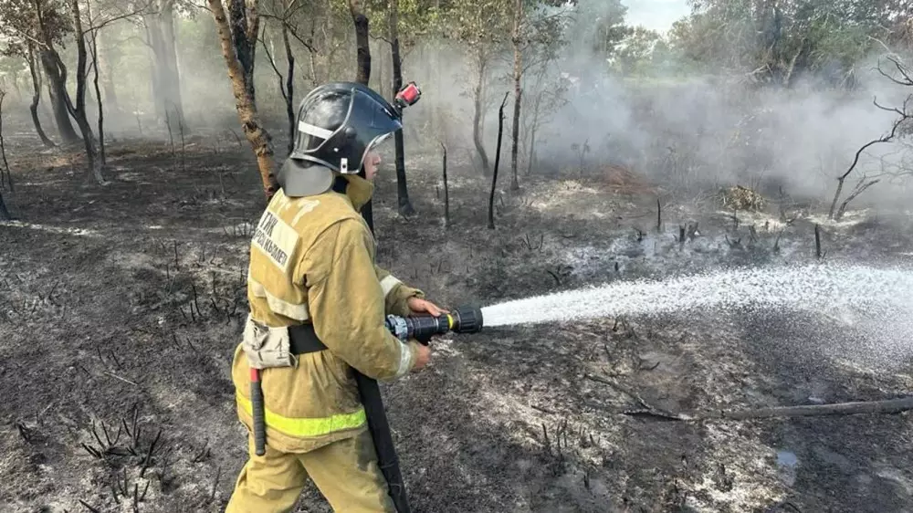 Қазақстанда орман өртсөндірушілерінің жалақысы қанша: вице-министр жауап берді