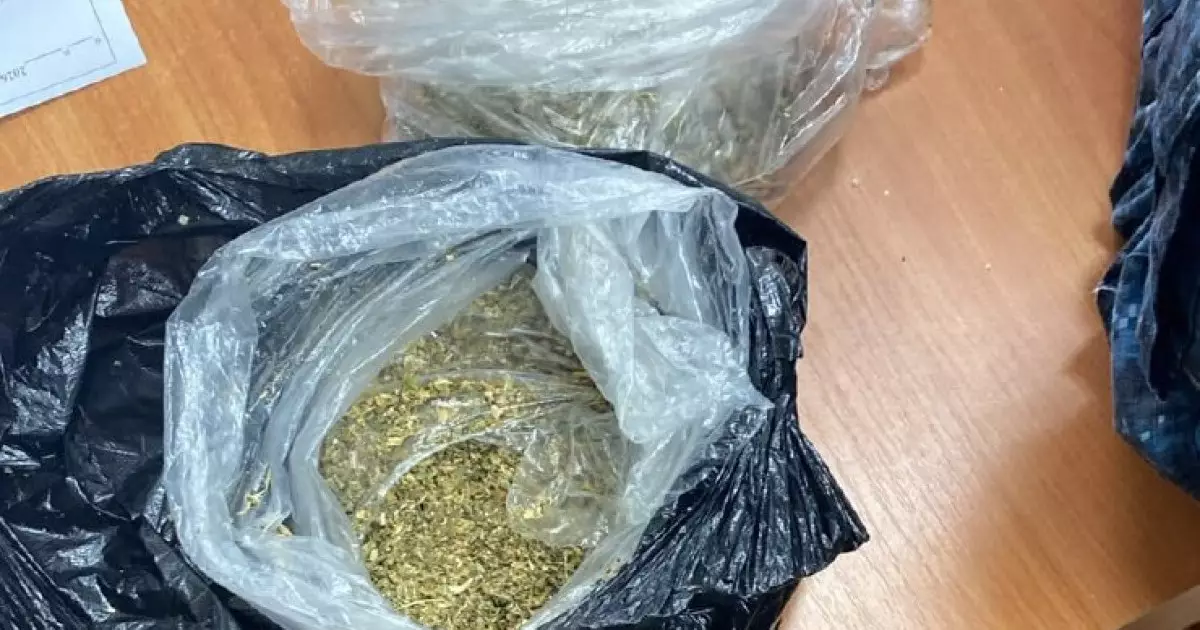  Оралда қызметтік ит жасырылған есіркіті анықтауға көмектесті 
