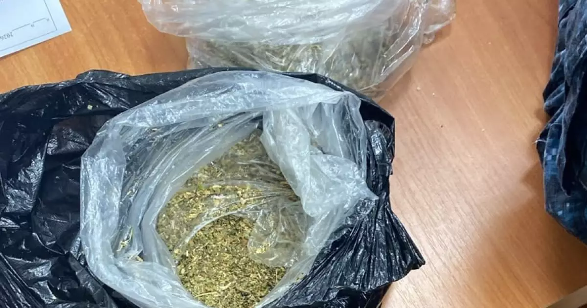   Оралда түрмеге жетуге тиіс болған есірткіні «Детектив» атты қызметтік ит әшкереледі   