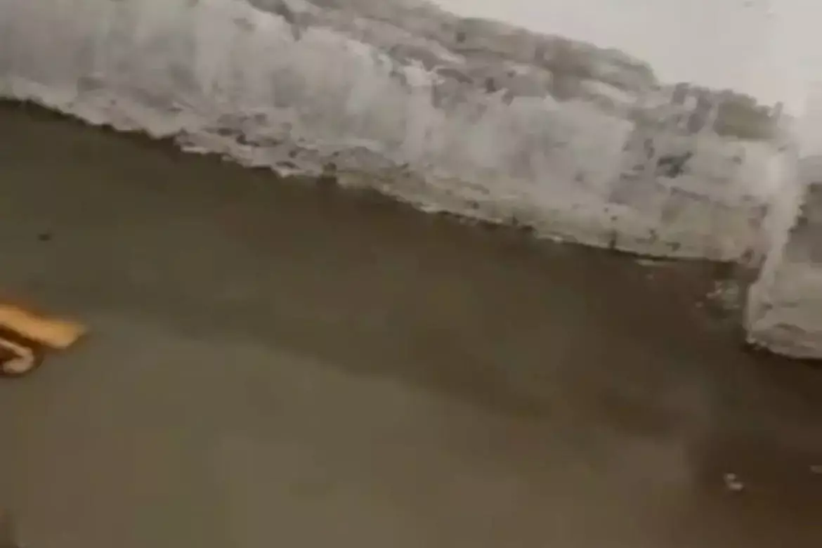 Ақтөбеде жаңа тұрғын үйдің жертөлесін су басты