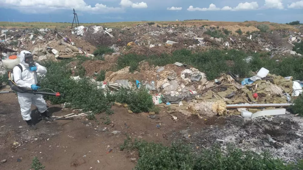 Свалку медицинских отходов нашли на западе Казахстана. Минздрав сделал заявление