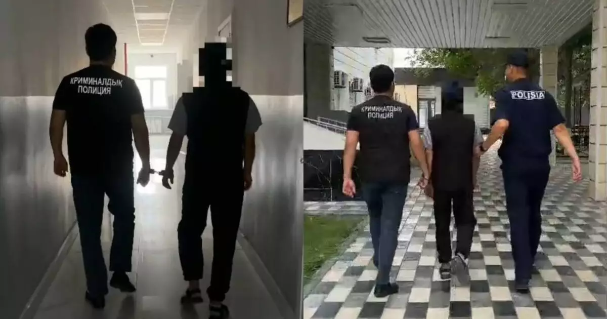  7 млн теңге: Түркістан облысында интернет-алаяқтықпен айналысқан күдікті ұсталды 
