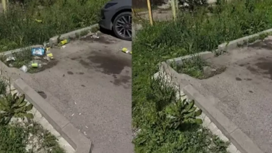  Алматыда ЖИ көмегімен `тазаланған` көше: қызметкер жұмыстан шығарылды 