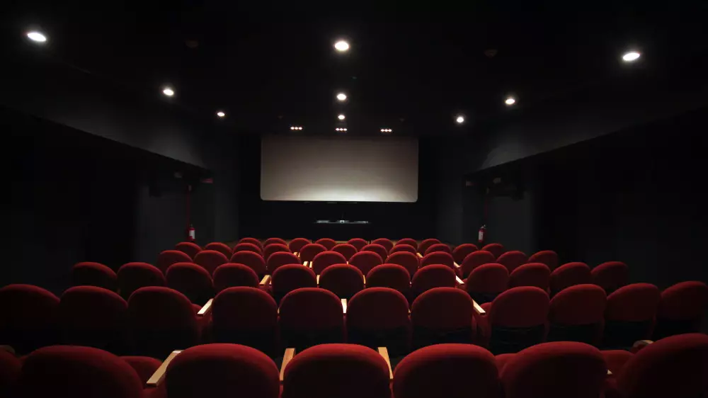 Мәдениет министрлігі бюджет қаражатына түсірілген фильмдер неге өзін-өзі ақтамайтынын түсіндірді
