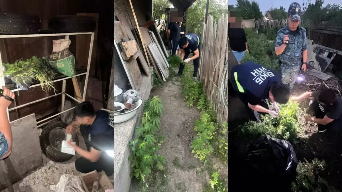 Что нашли полицейские на приусадебном участке под Карагандой