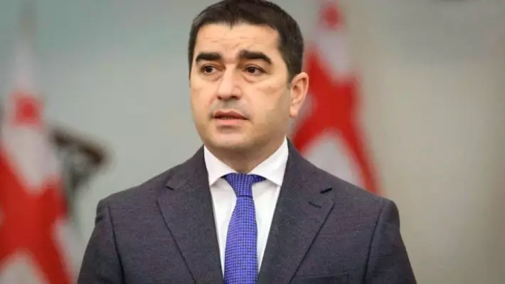 Грузия обвинила ЕС в давлении из-за отказа вводить санкции против России