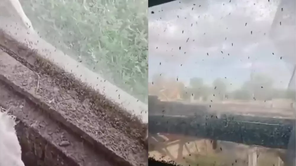 “40 градус ыстықта қымтанып жүрміз“. Павлодар облысында тұрғындар неге күртеше киюге мәжбүр?