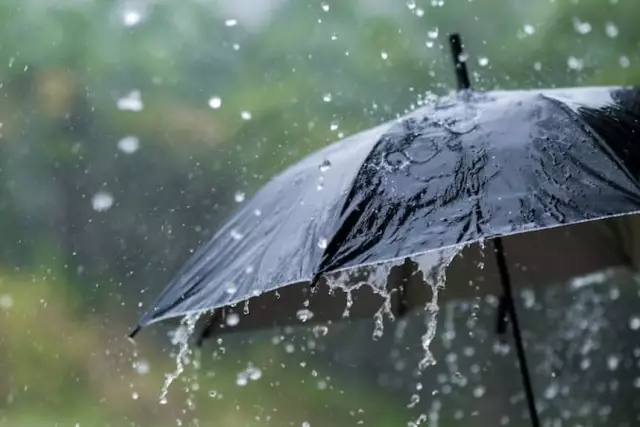 Бұршақ аралас жаңбыр мен +35°C-қа дейінгі аптап ыстық: 11 маусымға арналған ауа райы болжамы