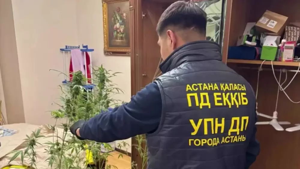 Астанада тарологтың жатын бөлмесіндегі тінту қылмыстық іспен аяқталды