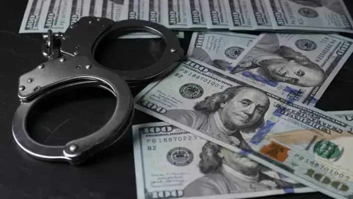 В Агентстве по карантину растений раскрыли крупную коррупционную схему