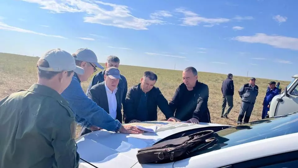 Более 950 тыс. га обработали против саранчи в Казахстане 