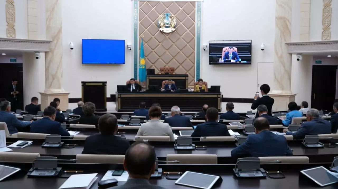 Сенат одобрил закон об амнистии