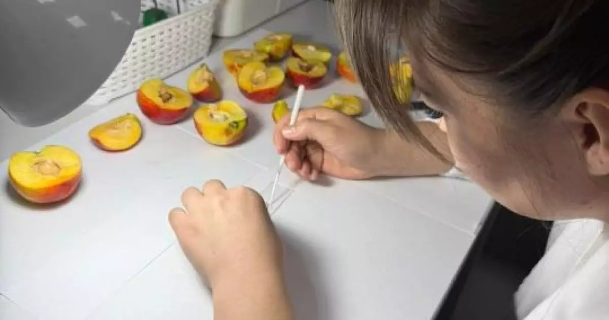   «Көзге көрінбейтін қауіп»: Қытайдан келе жатқан 40 тоннаға жуық өнім өтпей қалды   