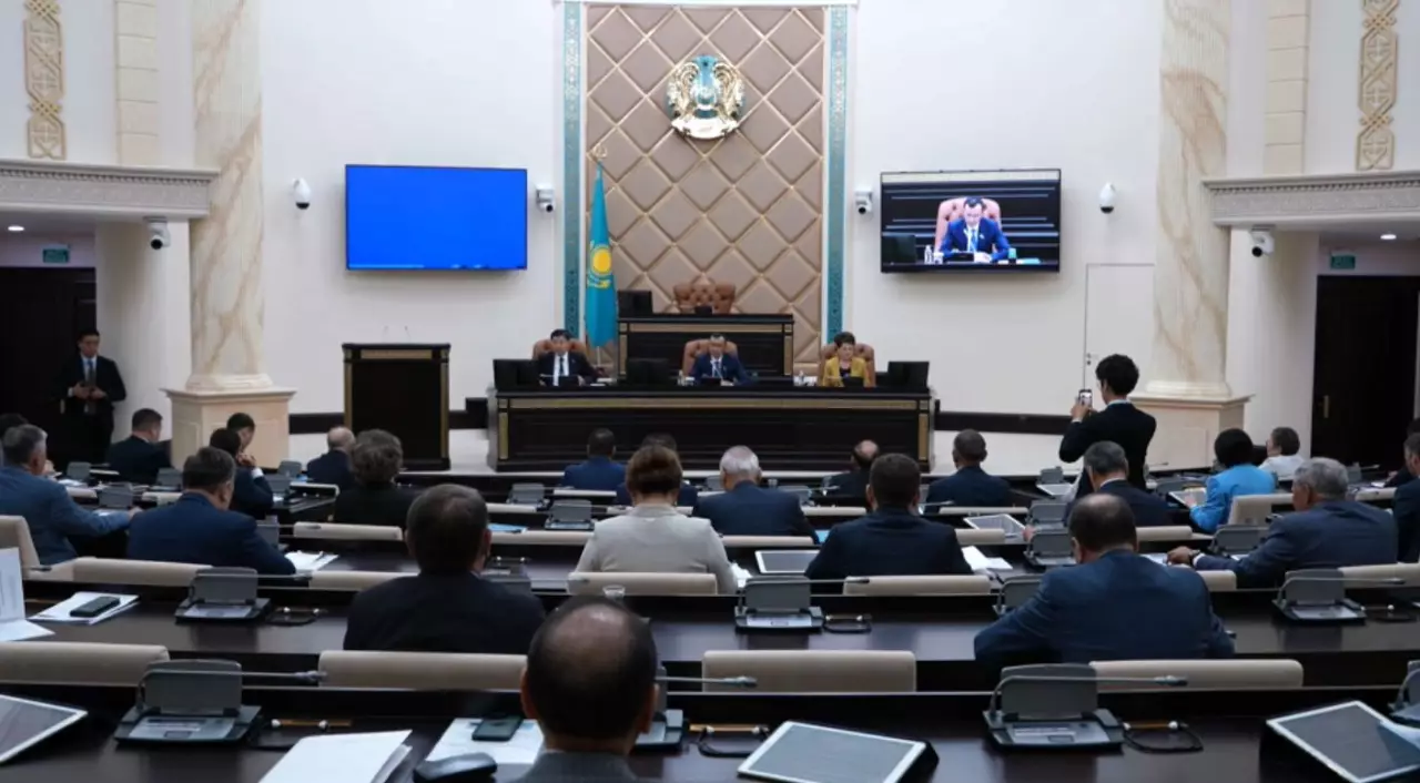 Сенат рақымшылық жөніндегі заңды мақұлдады