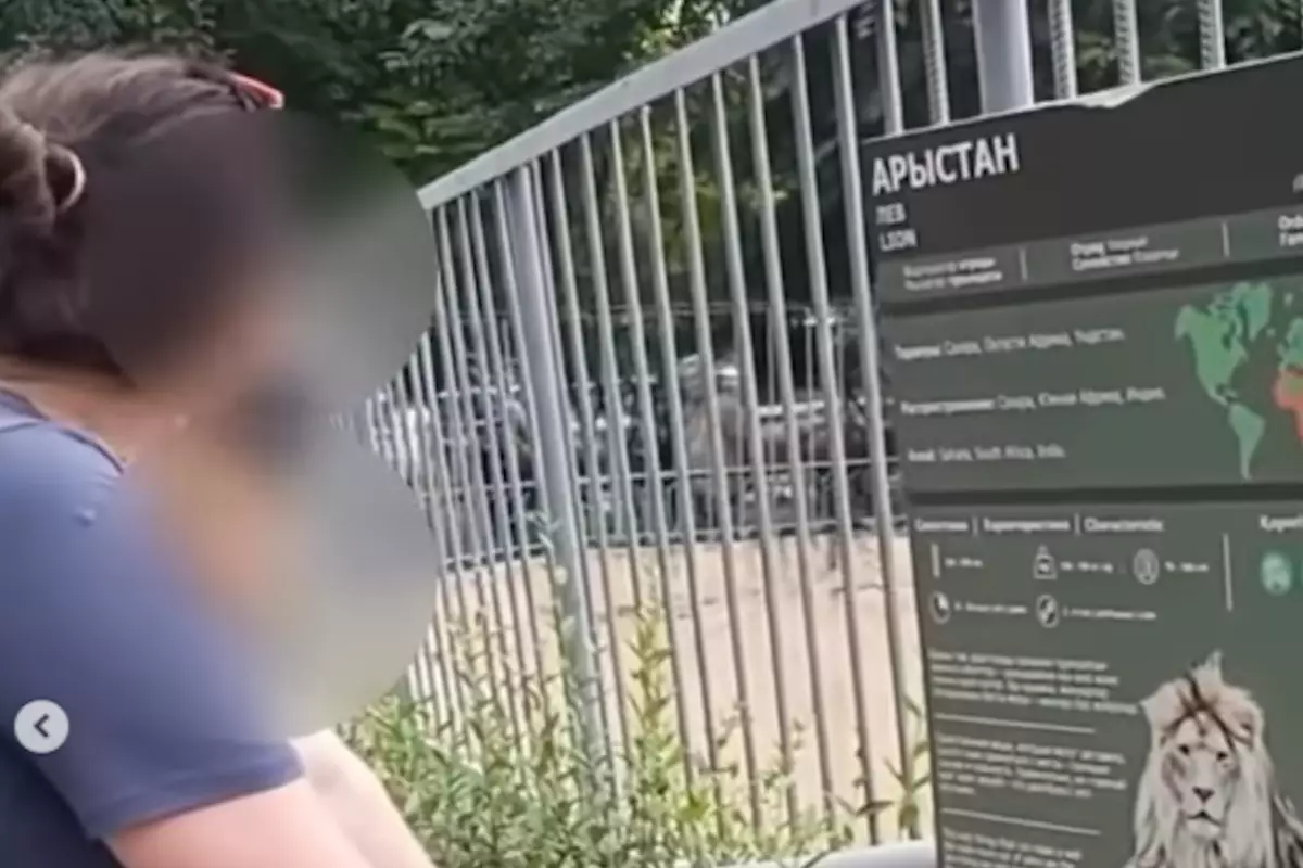 В Алматы женщина бросала камни в льва: зоопарк обратился в полицию