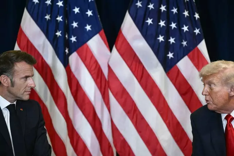 Повестка Макрона сталкивается с повесткой Трампа: чего ждать от саммита G7 во Франции