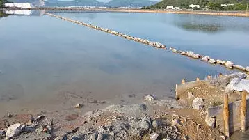 Более 60 гектаров водных ресурсов пытались передать в частные руки в Павлодаре