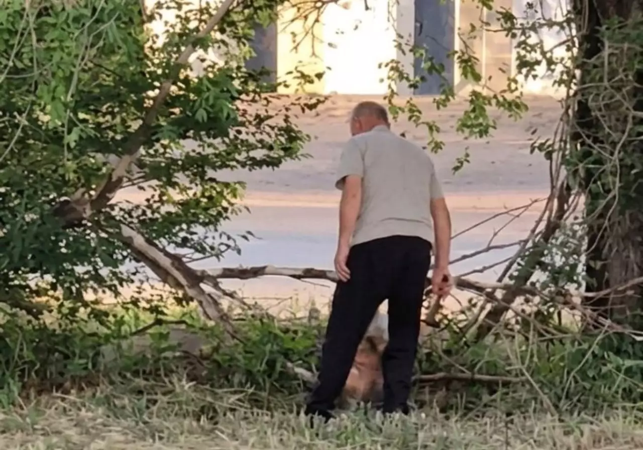 В Степногорске пожилой мужчина жестоко убил собаку на глазах у прохожих