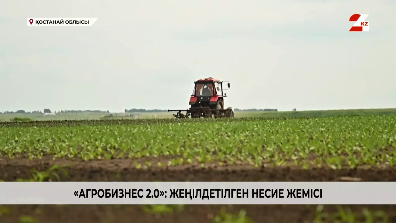«Агробизнес 2.0»: жеңілдетілген несие жемісі
