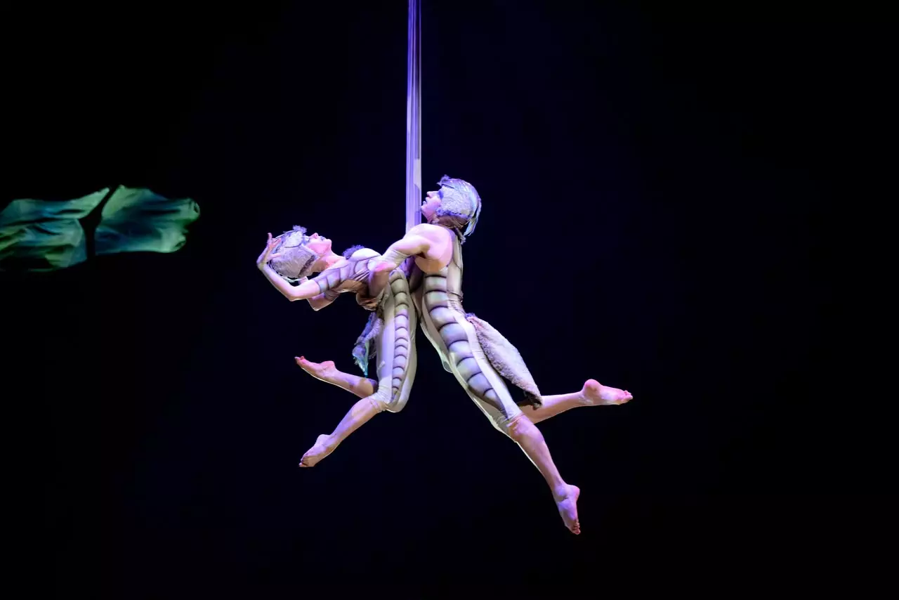 Сахна сыртындағы құпия мен премьерадағы аншлаг: Cirque du Soleil-дің OVO шоуы Алматыдағы гастролін қалай бастады?