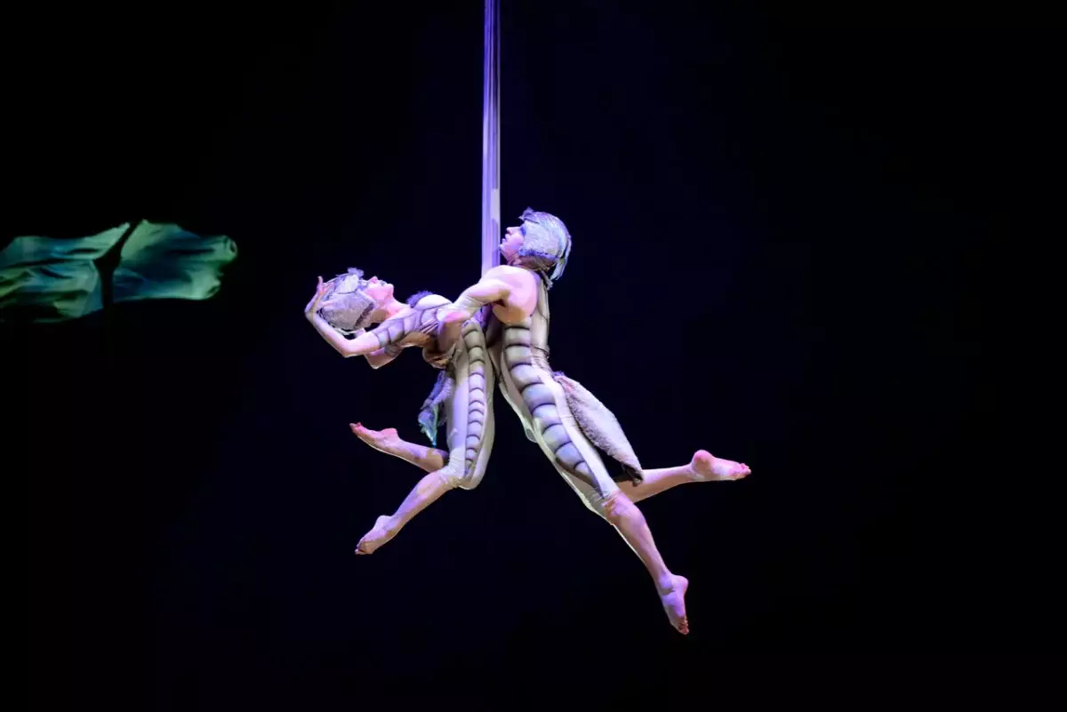 Сахна сыртындағы құпия: Cirque du Soleil-дің OVO шоуы Алматыдағы гастролін қалай бастады
