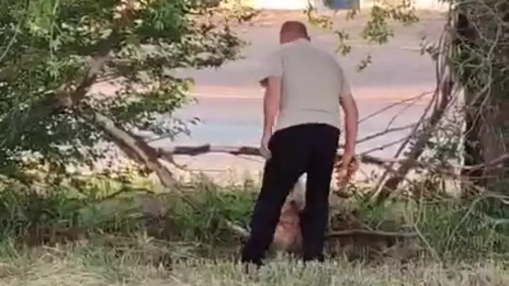 “Ұйықтатпақ болған, бірақ балғамен ұрып өлтірген“. Степногорскіде жантүршігерлік оқиға тергеліп жатыр