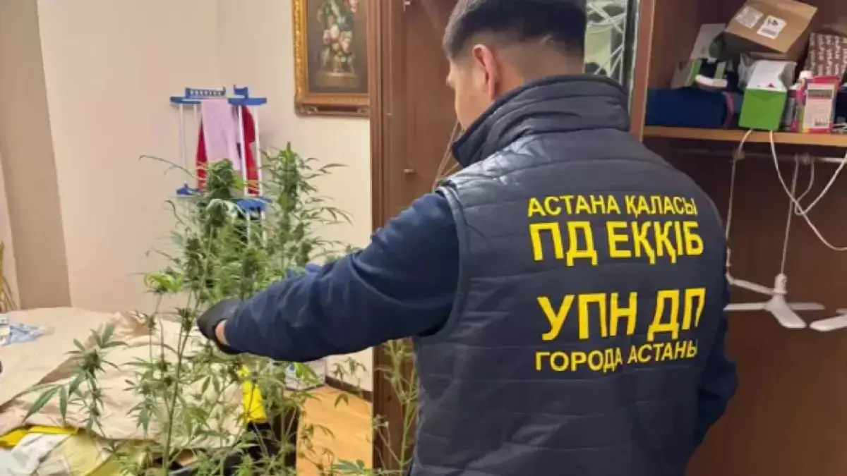 Таролог из Астаны ушла в астрал прямо во время обыска, когда полицейские открыли ее шкаф - новости на Lada.kz 12.06.2026