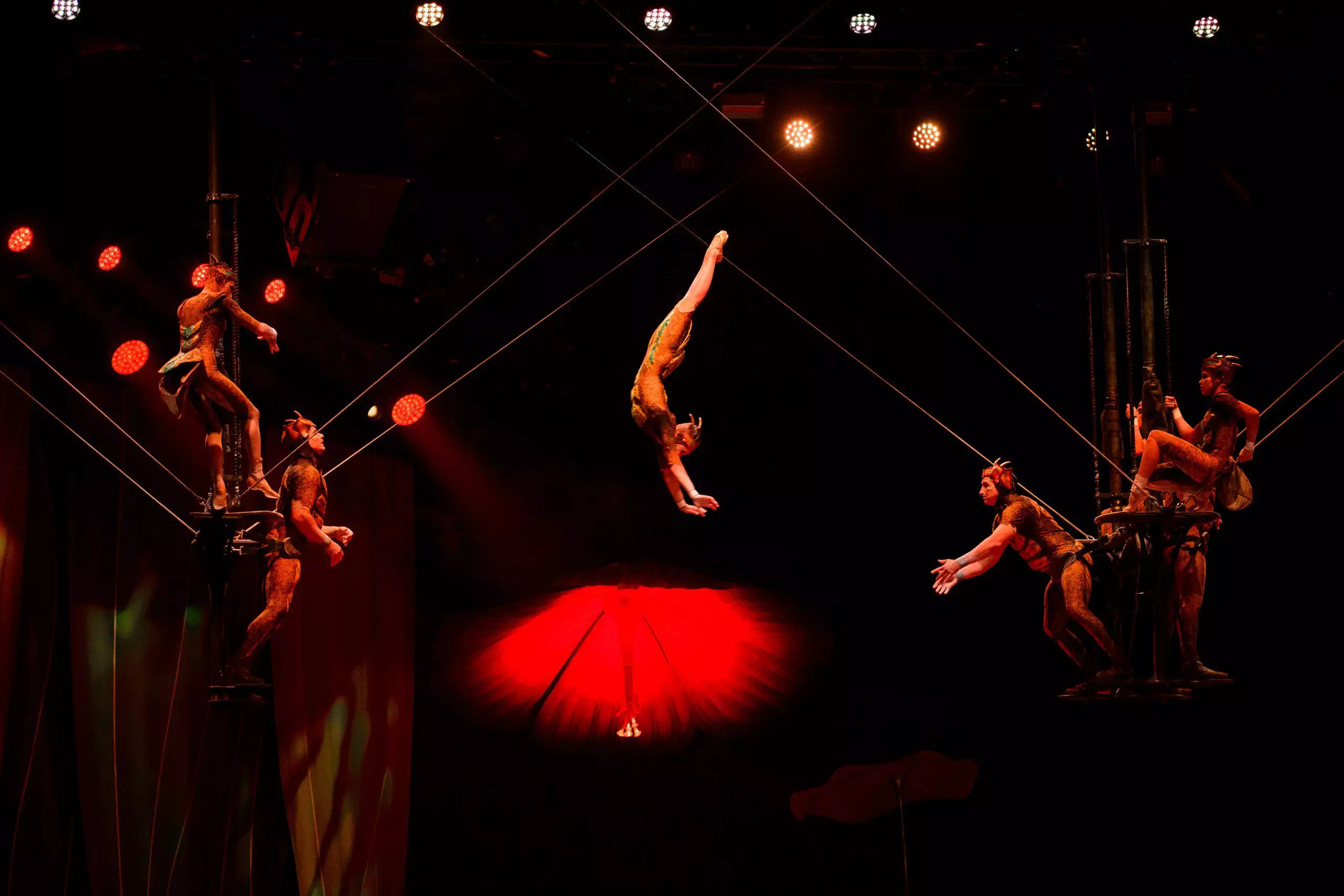 Cirque du Soleil открыл гастроли OVO в Алматы с аншлага и закулисного показа для СМИ