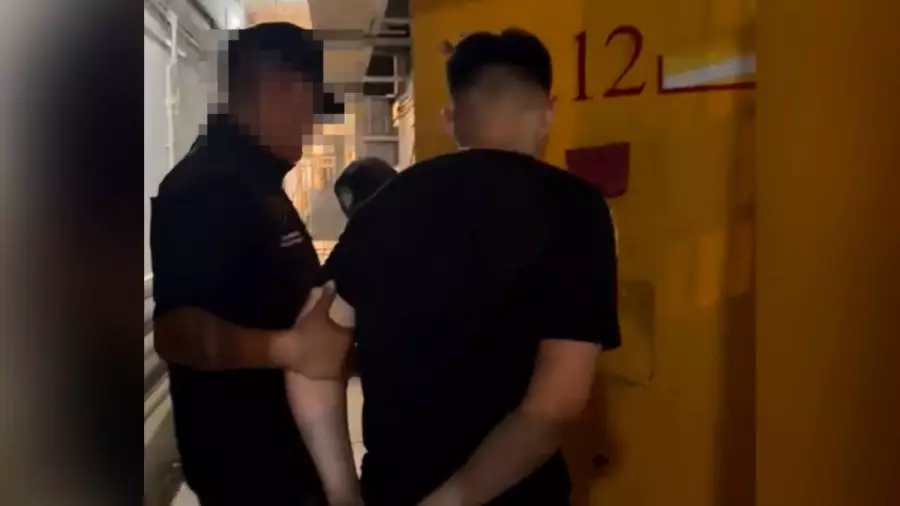 “Көлікпен алып кетіп, күш қолданған“: Павлодар облысында екі оқушы мен бір студент ұсталды