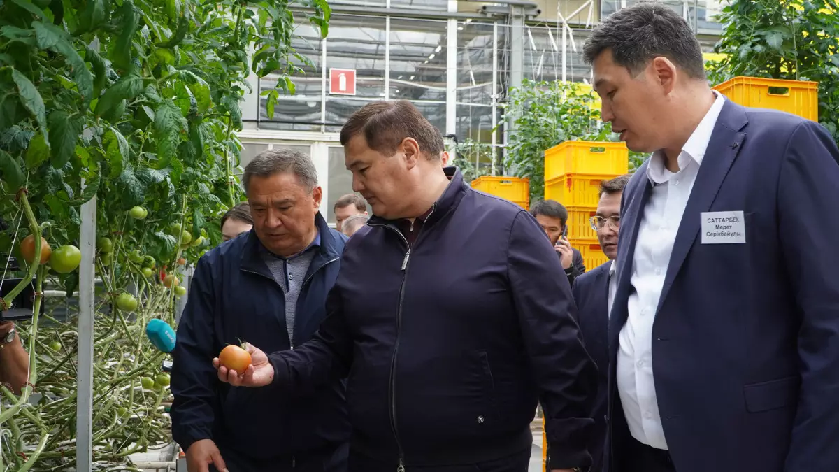 Ақмолада 2030 жылға дейін 47 жаңа өндіріс орны ашылады