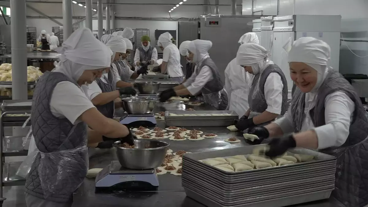 Үкімет жеңіл өнеркәсіпті дамытудың жаңа бағдарламасын әзірлеп жатыр