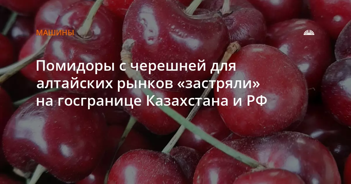 Помидоры с черешней для алтайских рынков застряли на госгранице Казахстана и РФ.