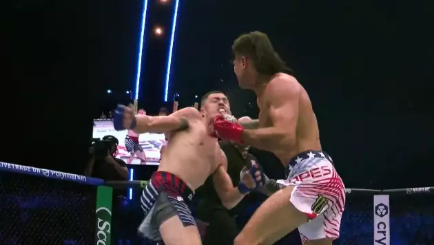Брутальным нокаутом обернулся первый бой на турнире UFC в Белом доме