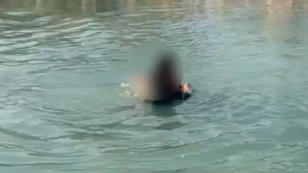  Сайран көлінде құтқарушылар қызды ажалдан арашалап қалды 