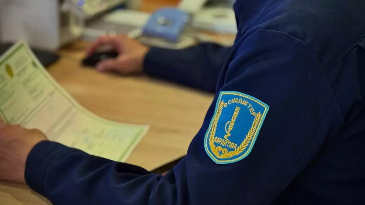 Почему более 113 тонн продукции признали небезопасной в области Жетысу