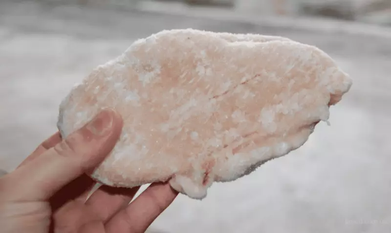 Десятки тонн куриного филе из Китая уничтожили в Казахстане