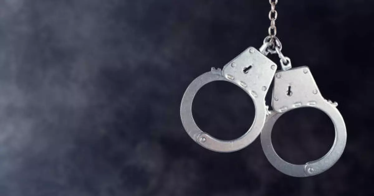  Павлодарда көкнәр тұқымын дәмдеуіш ретінде сатқандар сотталды 