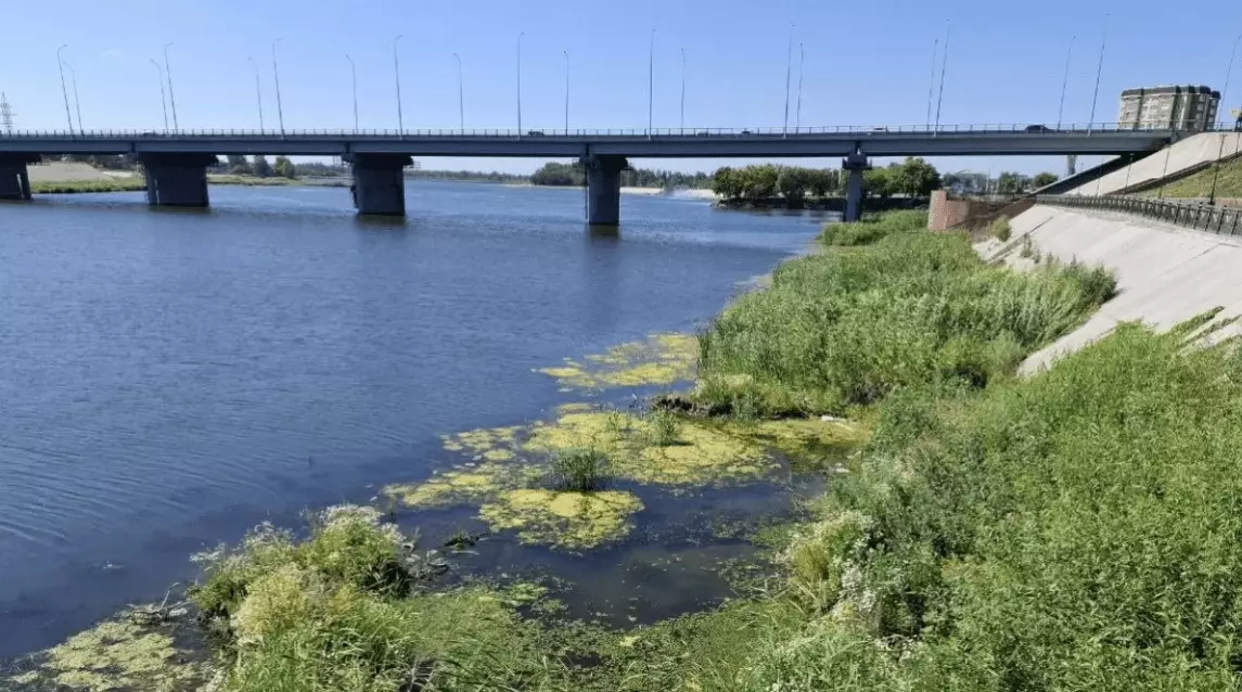 В Костанайской области нашли тела мужчины и его шестилетнего внука, утонувших в Тоболе