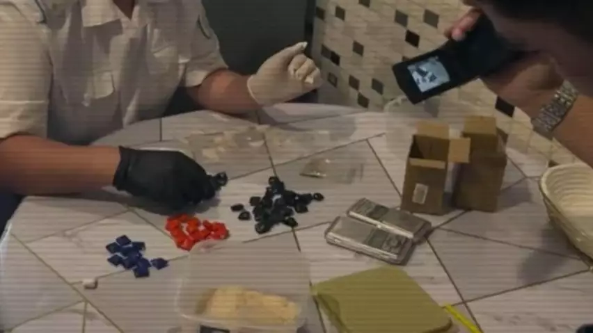  Көкнәр тұқымының астарында есірткі: Павлодарда отбасылық қылмыстық схема әшкереленді 