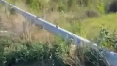 Фермер тайно качал воду из стратегического канала в Павлодарской области